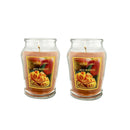 12oz Scented Candle in Glass Jar, 70+ Hours Long Lasting Burn, Eco-Friendly Candle with Eucalyptus, Mango, Apple, Vanilla Cream, Lavender Lemon & Linen Scents,Idea Gifts.