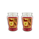 12oz Scented Candle in Glass Jar, 70+ Hours Long Lasting Burn, Eco-Friendly Candle with Eucalyptus, Mango, Apple, Vanilla Cream, Lavender Lemon & Linen Scents,Idea Gifts.