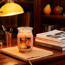 18oz Jar Scented Candle, Long Lasting Soy Wax Candle for Relaxation & Stress Relief, Aromatherapy Gift for Women, Birthday, Housewarming, Halloween, Thanksgiving, Christmas