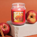 1pc/8pcs Scented Candles 18oz In 8 Scents: Tropical Essence,SPA Waters,Apple, Peony, Pineapple Papaya, Lavender, Vanilla Bean, Fresh Linen, Bath Candle, Yoga Candle - Ideal Holiday Gift for Women,Best gift for Mother's Day, Graduation, Easter