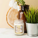 1pc/8pcs Scented Candles 18oz In 8 Scents: Tropical Essence,SPA Waters,Apple, Peony, Pineapple Papaya, Lavender, Vanilla Bean, Fresh Linen, Bath Candle, Yoga Candle - Ideal Holiday Gift for Women,Best gift for Mother's Day, Graduation, Easter