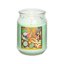 1pc/8pcs Scented Candles 18oz In 8 Scents: Tropical Essence,SPA Waters,Apple, Peony, Pineapple Papaya, Lavender, Vanilla Bean, Fresh Linen, Bath Candle, Yoga Candle - Ideal Holiday Gift for Women,Best gift for Mother's Day, Graduation, Easter