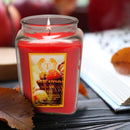 18oz Festive Christmas Candle - 6 Unique Scents for Romantic Ambiance - No Electricity or Battery Needed, Perfect for Holiday Decor, Mother's Gift Idea