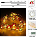 Smart USB-Powered Fairy Lights with 20 LED Lights (Three Styles)